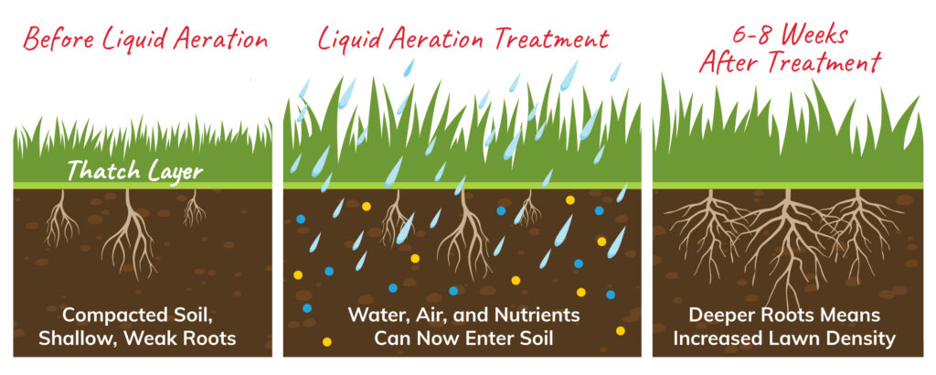 BSG-24-1030-LiquidAeration