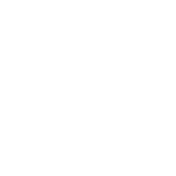 white ladybug icon